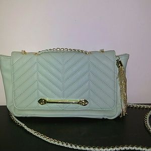 Mint green 💚 and gold Steve madden bag